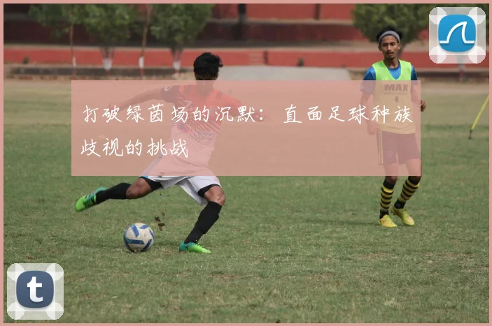 打破绿茵场的沉默：直面足球种族歧视的挑战