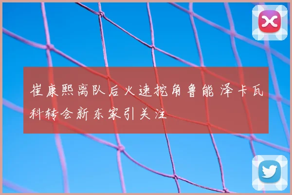 崔康熙离队后火速挖角鲁能 泽卡瓦科转会新东家引关注