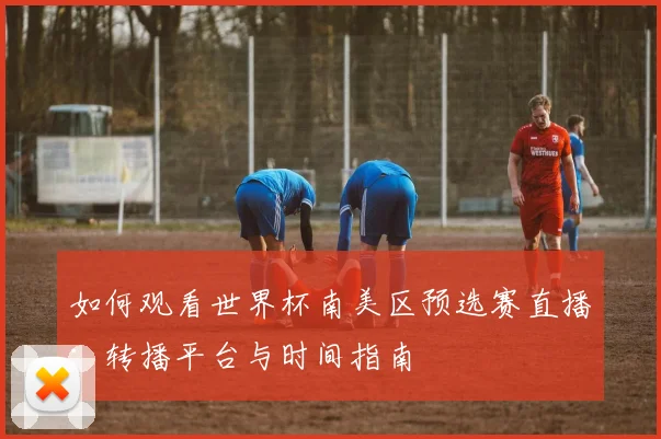 如何观看世界杯南美区预选赛直播：转播平台与时间指南
