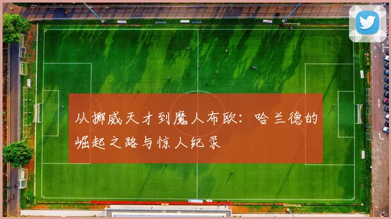 从挪威天才到魔人布欧：哈兰德的崛起之路与惊人纪录